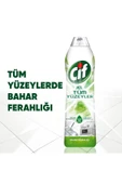 Evde Temizlik Paketi Krem Amonyak750 Ml+domestos 750ml+d2+ Jel 750 Ml+omo Sıvı Active 1690ml - 5