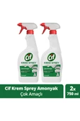 Krem Sprey Amonyak Çok Amaçlı Sprey 750 ml 2adet thumbnail 1