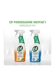 Power & Shine Mutfak Sprey Temizleyici 750 Ml - 4