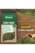 Knorr Baharat Serisi Kuru Nane 25 G X 8 Adet - 3