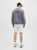 Jack Jones Gordon Beau Erkek Şort 12268770 - 4