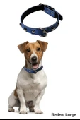Derin Stok® Yumuşak Dokulu Deri Köpek Gezdirme Boyun Tasması (Large) - 3