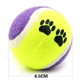 Derin Stok®  3lü Renkli Desenli Tenis Topu Kedi Köpek Oyuncağı - 4