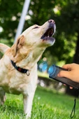 Derin Stok® Ultrasonik Köpek Kovucu  ve Eğitici Cihaz - 9