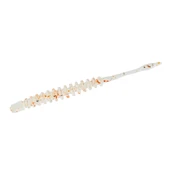 DAIWA GEKKABIJIN AJING BEAM KIWAMI 2inc (10 AD) SALMON FLAKES - 1