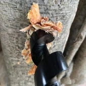 Bushcraft Ahşap Burgu Matkabı ( El Burgusu ) - 5