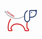 LACİEL ERKEK ÇOCUK BİSİKLET YAKA PAMUK KÖPEK DESENLİ ŞORTLU TAKIM thumbnail 5