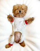 Sparkle Hearts Penye Köpek Tulum Pijama - 4