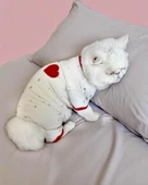 Sparkle Hearts Penye Tulum Yastık Takım Uyku Set Kedi Tulum Elbise - 8