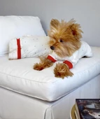 Sparkle Hearts Penye Tulum Yastık Takım Uyku Set Köpek Tulum Elbise - 5