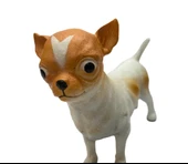 Köpekler - Chihuahua / Şivava Cinsi Köpek - 3