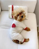 Sparkle Hearts Penye Tulum Yastık Takım Uyku Set Köpek Tulum Elbise - 1