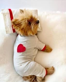 Sparkle Hearts Penye Tulum Yastık Takım Uyku Set Köpek Tulum Elbise - 7