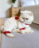 Sparkle Hearts Penye Tulum Yastık Takım Uyku Set Kedi Tulum Elbise - 7