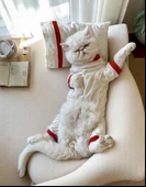 Sparkle Hearts Penye Tulum Yastık Takım Uyku Set Kedi Tulum Elbise - 1