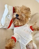 Sparkle Hearts Penye Tulum Yastık Takım Uyku Set Köpek Tulum Elbise - 4