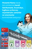 Chefs Kibbles Norveç Somonlu Yetişkin Kedi Maması 10KG+Mutamin Organics Somon Yağı 150ML - 6