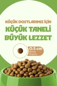 Chefs Kibbles Norveç Somonlu Yetişkin Kedi Maması 10KG+Mutamin Organics Somon Yağı 150ML - 3