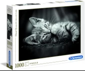 Clementoni Kedi Yavruları 1000 Parça High Quality Collection Yetişkin Puzzle Kitty Clemkit - 1