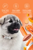 Chefs Kibbles Norveç Somonlu Yavru Köpek Maması 15KG - 2