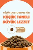 Chefs Kibbles Norveç Somonlu Yavru Köpek Maması 15KG - 3