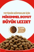 Chefs Kibbles Biftekli ve Pirinçli Yetişkin Köpek Maması 15KG - 3