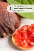 Erbatab Reishi Mantarı Ekstresi 60 Kapsü thumbnail 4