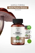 Erbatab Reishi Mantarı Ekstresi 60 Kapsü thumbnail 6