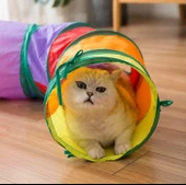 Kedi Oyun Tüneli - 2
