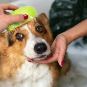 Elektrikli Buharlı Kedi ve Köpek Bakım Yumuşak Silikon Fırça ( Kedi Köpek Bakım Tarağı) - 2