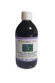 KOLEXTRACT Hayıt Meyvesi Sıvı Ekstraktı 250 ml - 1