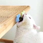 Yengeç Kedi Otu Oyun Topu - 3