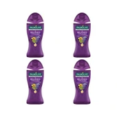 Palmolive Duş Jeli 500 Ml Aroma Sensatıons Feel The Massage So Relaxed Paket 4lü - 1
