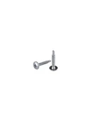 PUL BAŞLI (SDİNG) RYSB AKILLI VİDA 3,9X25 MM - 2