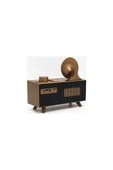 Paleon Apollo B6 Gramafon Radyo Retro Kablosuz Hoparlör - 4