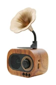 POLYGOLD B5 Nostaljik Gramafon Tasarım Yüksek Ses Kaliteli Mini Bluetooth Hoparlör - 1