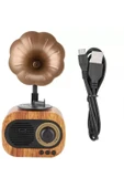 Avagir Ahşap Tasarımlı Bluetooth Hoparlör Şık B5 Nostaljik Mini Gramafon Radyo Usb Radyo Yüksek Ses Kalite - 7