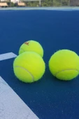 12 Adet Tenis Topu Başlangıç Seviye Eğitim Antrenman Amatör Maç Topu Tennis Ball thumbnail 3