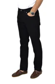Erkek Regular Jeans Pantolon 1801 BGL-ST04418 thumbnail 2