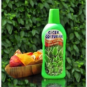Avmdepo  Çiçek Coşturan Çiçeksiz Süs Bitkileri İçin - 3