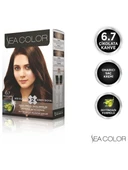 Sea Color 6.7 Çikolata Kahve Set Boya - 2
