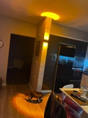 12 Watt Amber Işık Ledli, Elektrikle Çalışır, Bahçe - Villa Duvar Aydınlatma Armatürü, Amber Aplik - 5
