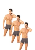 Looksense Erkek Dude 3Lü İnce Bel Lastikli Likralı Boxer 12003 thumbnail 2