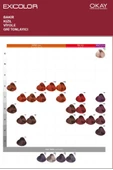Exicolor Saç Boyası Tüp 60 Ml 1 Siyah 2 Adet (Oksidan Hediyeli 4'lü Set) - 5