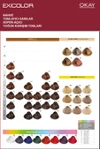 Exicolor Saç Boyası Tüp 60 Ml 1 Siyah 2 Adet (Oksidan Hediyeli 4'lü Set) - 7