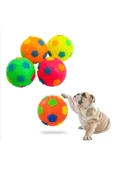 Kedi -köpek Düdüklü Işıklı Oyun Topu Renkli Işıklı Top Köpek Oyun Topu - 1