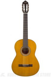 VALENCIA VC204 KLASİK GİTAR, 4/4, NATUREL MAT + KILIF + PENA - 3