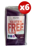 BİOTAR GLÜTENSİZ UN 1 KG x 6 ( GLUTEN FREE FLOUR ) - 1