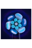 Oral-B iO Ultimate Clean Siyah Diş Fırçası Yedek Başlığı 6 Adet - 6