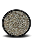Vivid Sade Kanarya Yemi (aspur) 1 Kg - 1